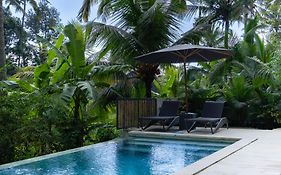 Bali View Ubud Hotel